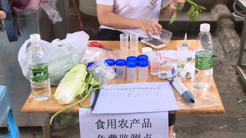 整治 群众最不满意的十件事 免费的食用农产品快速检测服务正逐步推进